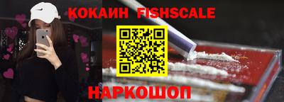 крисы Гатчина