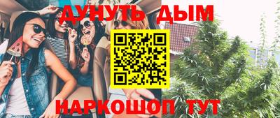 крисы Гатчина