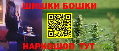 крисы Гатчина