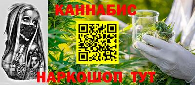 крисы Гатчина