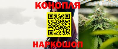бошки Гагарин
