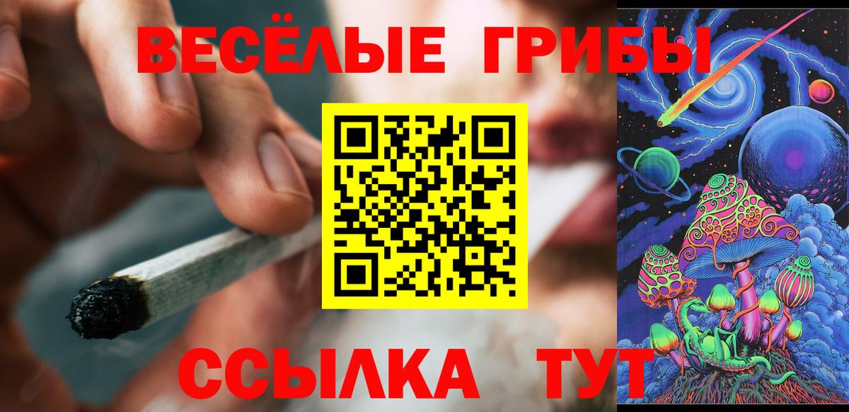 Киселёвск  Псилоцибиновые грибы ЛСД  Вход с VPN  Галлюциногенные грибы мухоморы 